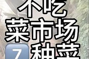 多特vs狼堡首发：桑乔先发！罗伊斯、菲尔克鲁格出战